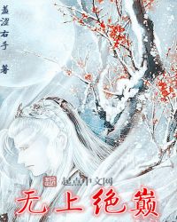 无上绝巅封面