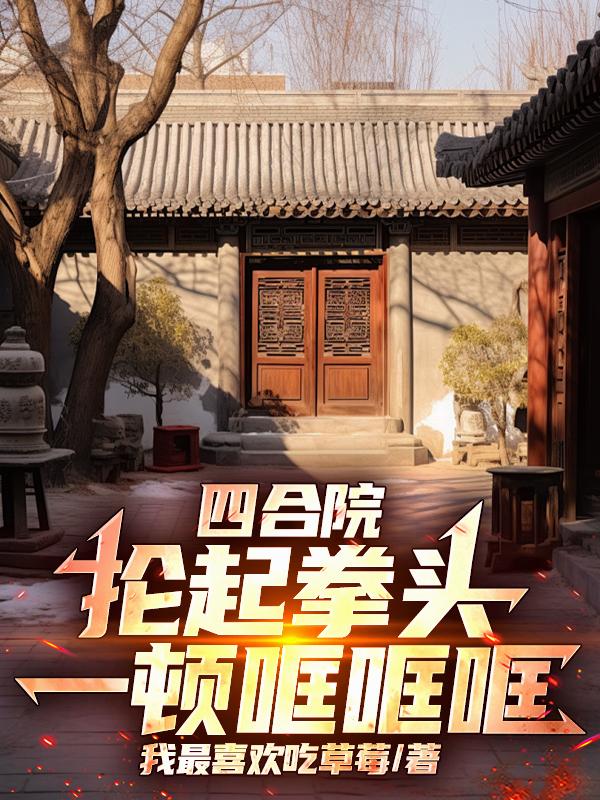 四合院,抡起拳头一顿哐哐哐封面