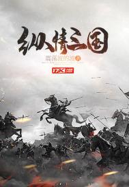 纵情三国封面