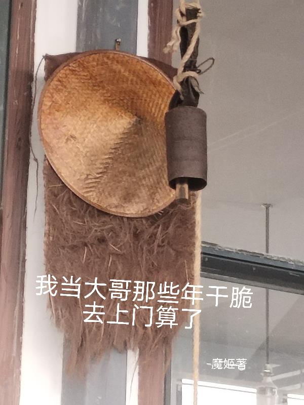 我当大哥的那些年干脆去上门算了封面