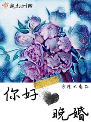 你好晚婚封面