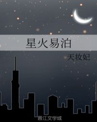 星火易泊封面