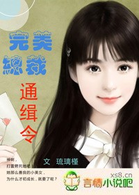 完美总裁通缉令封面