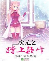 二次元之踏上颠峰封面