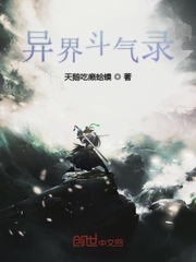 异界斗气录封面