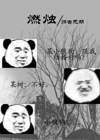 燃烛封面