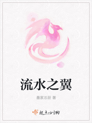 流水之翼封面
