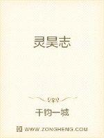 灵昊志封面