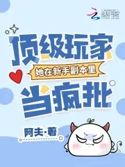 顶级玩家她在新手副本里当疯批封面