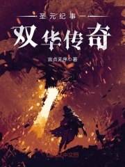 圣元纪事一双华传奇封面