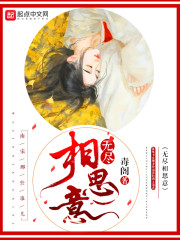 无尽相思意封面