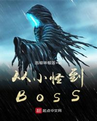从小怪到BOSS封面