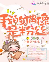 我的偶像是粉丝封面