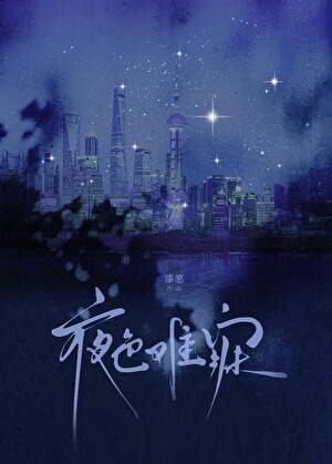 夜色难寐封面