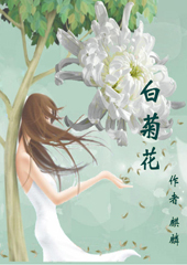 白菊花封面