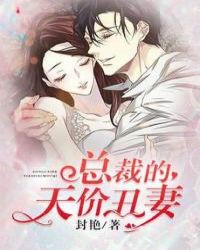 总裁的天价丑妻封面