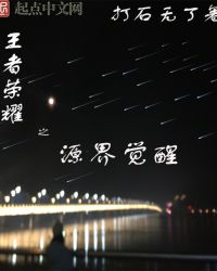 王者荣耀之源界觉醒封面