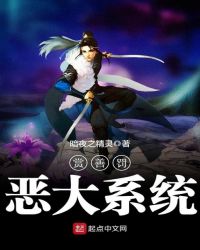 赏善罚恶大系统封面