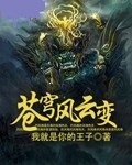 苍穹风云变封面