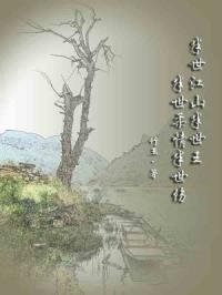 半世江山半世王，半世柔情半世伤封面