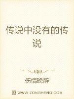传说中没有的传说封面