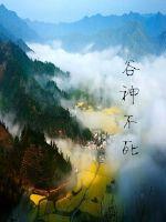 谷神不死封面