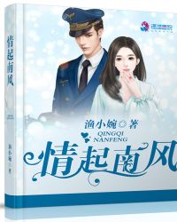 情起南风封面