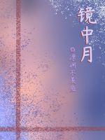 镜中月封面