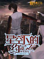 星空下的约定之执笔流年封面