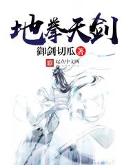 地拳天剑封面