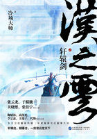 轩辕剑之汉之云封面