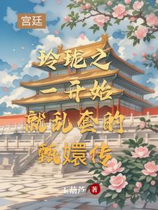 玲珑之一开始就乱套的甄嬛传封面