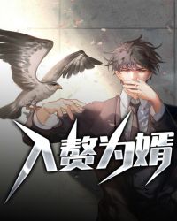 入赘为婿封面