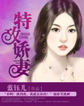 特攻骄妻封面