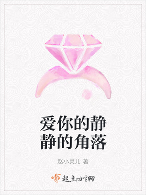 我爱你的静静的角落封面