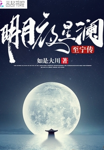 明月夜星澜封面