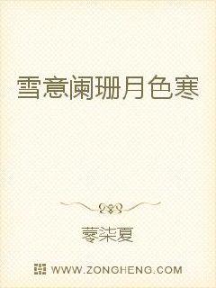 雪意阑珊月色寒封面
