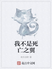 我不是死亡之翼封面