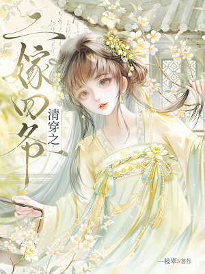 清穿之二嫁四爷封面