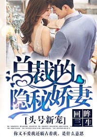 头号新宠,总裁的隐秘娇妻!封面
