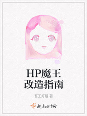 HP魔王改造指南封面