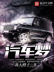 汽车梦封面