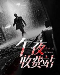 午夜收费站封面