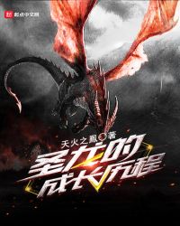 圣龙的成长历程封面