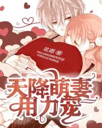 天降萌妻用力宠封面