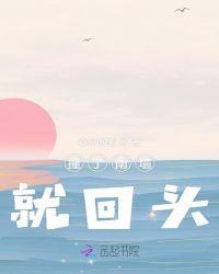 撞了南墙就回头封面