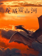 龙威震山河封面