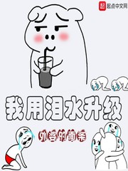 我用泪水升级封面