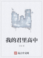 我的君里高中封面