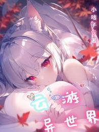 云游异世界封面